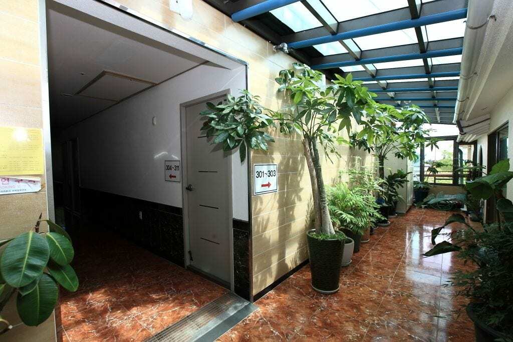 Haesung Pension Seogwipo Dış mekan fotoğraf